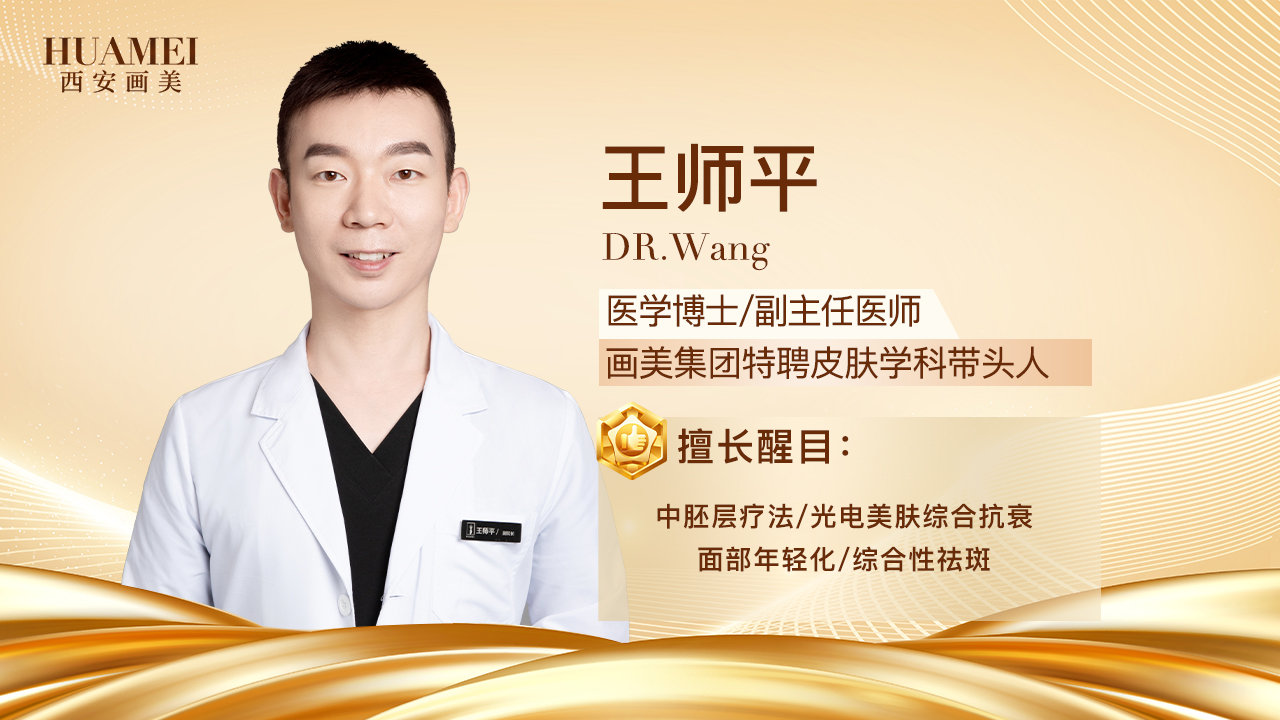 王师平